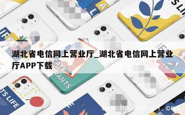 湖北省电信网上营业厅_湖北省电信网上营业厅APP下载 第1张