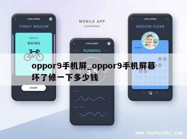 oppor9手机屏_oppor9手机屏幕坏了修一下多少钱 第1张