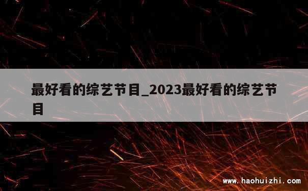 最好看的综艺节目_2023最好看的综艺节目 第1张