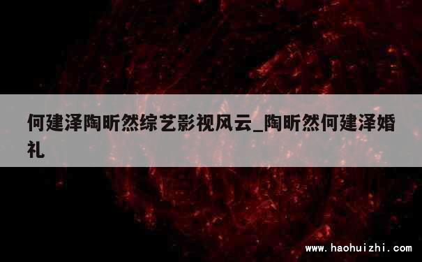 何建泽陶昕然综艺影视风云_陶昕然何建泽婚礼 第1张