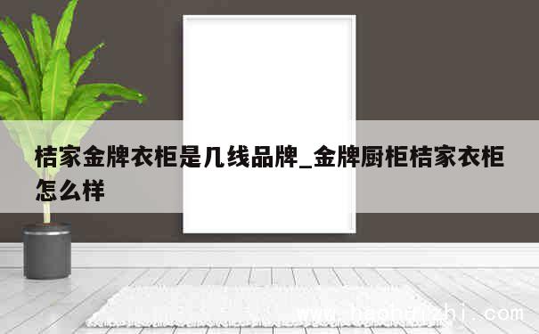 桔家金牌衣柜是几线品牌_金牌厨柜桔家衣柜怎么样 第1张