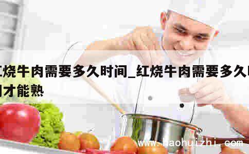 红烧牛肉需要多久时间_红烧牛肉需要多久时间才能熟 第1张