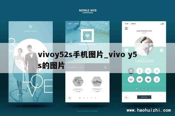 vivoy52s手机图片_vivo y5s的图片 第1张