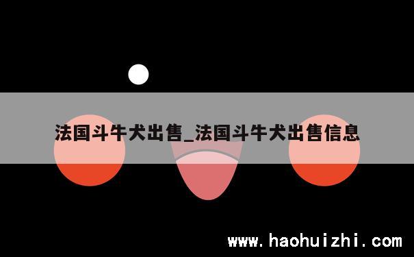 法国斗牛犬出售_法国斗牛犬出售信息 第1张