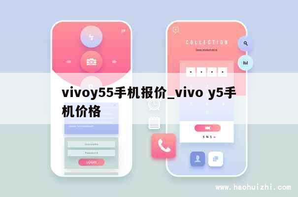 vivoy55手机报价_vivo y5手机价格 第1张