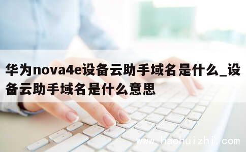 华为nova4e设备云助手域名是什么_设备云助手域名是什么意思 第1张