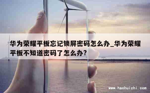 华为荣耀平板忘记锁屏密码怎么办_华为荣耀平板不知道密码了怎么办? 第1张