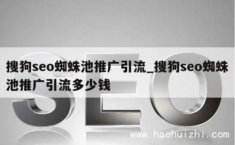 搜狗seo蜘蛛池推广引流_搜狗seo蜘蛛池推广引流多少钱 第1张