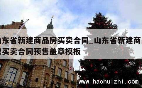 山东省新建商品房买卖合同_山东省新建商品房买卖合同预售盖章模板 第1张