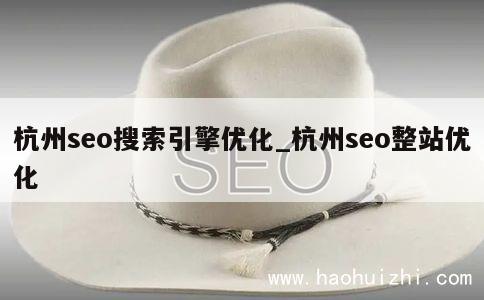 杭州seo搜索引擎优化_杭州seo整站优化 第1张