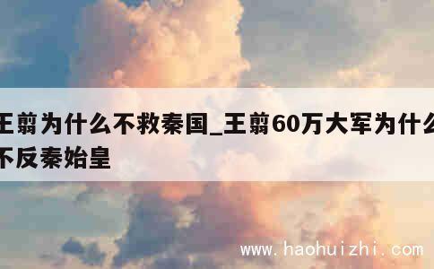 王翦为什么不救秦国_王翦60万大军为什么不反秦始皇