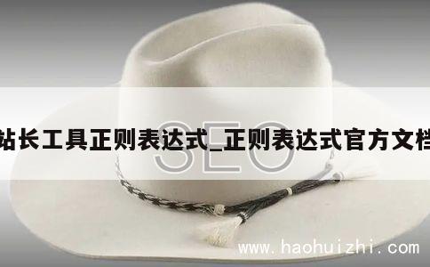 站长工具正则表达式_正则表达式官方文档 第1张