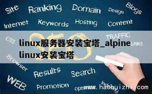 linux服务器安装宝塔_alpine linux安装宝塔