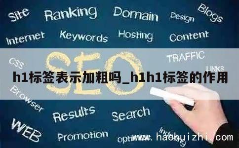 h1标签表示加粗吗_h1h1标签的作用