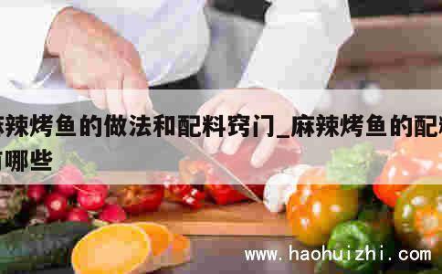 麻辣烤鱼的做法和配料窍门_麻辣烤鱼的配料有哪些 第1张