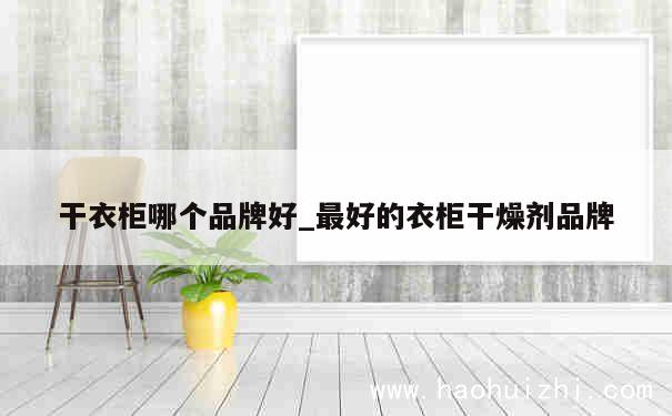 干衣柜哪个品牌好_最好的衣柜干燥剂品牌 第1张