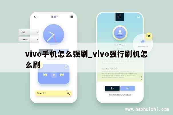 vivo手机怎么强刷_vivo强行刷机怎么刷