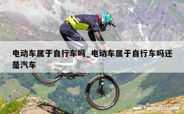 电动车属于自行车吗_电动车属于自行车吗还是汽车 第1张