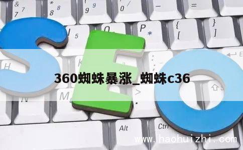 360蜘蛛暴涨_蜘蛛c36