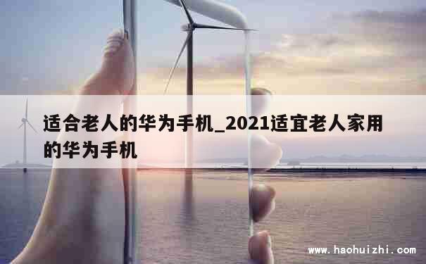 适合老人的华为手机_2021适宜老人家用的华为手机 第1张