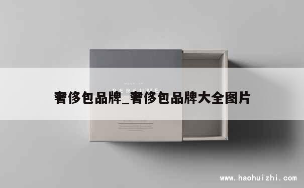 奢侈包品牌_奢侈包品牌大全图片 第1张