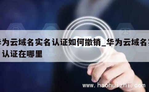 华为云域名实名认证如何撤销_华为云域名实名认证在哪里 第1张