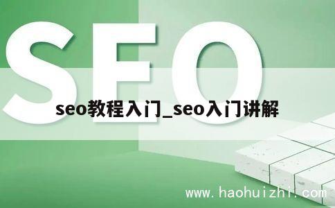 seo教程入门_seo入门讲解 第1张