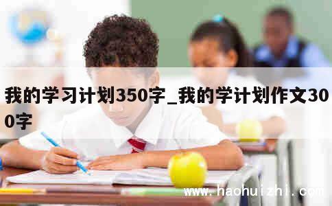 我的学习计划350字_我的学计划作文300字 第1张