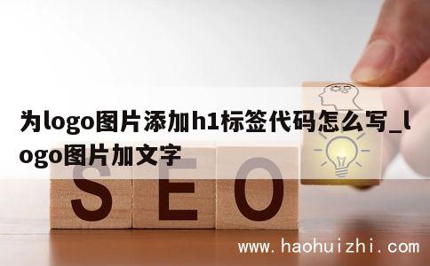 为logo图片添加h1标签代码怎么写_logo图片加文字 第1张