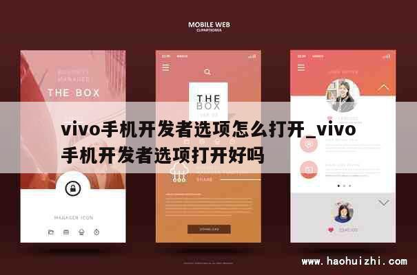 vivo手机开发者选项怎么打开_vivo手机开发者选项打开好吗 第1张