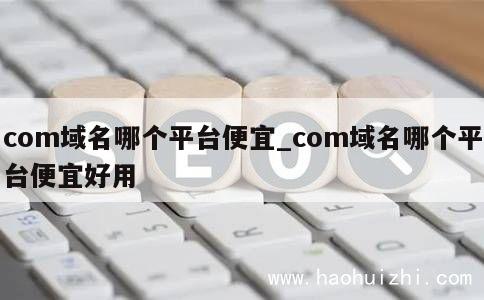 com域名哪个平台便宜_com域名哪个平台便宜好用 第1张