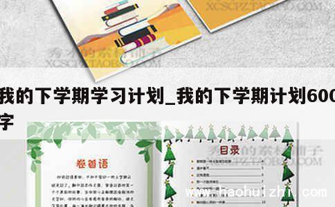 我的下学期学习计划_我的下学期计划600字 第1张