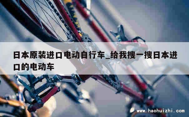 日本原装进口电动自行车_给我搜一搜日本进口的电动车 第1张