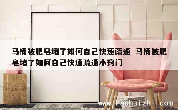 马桶被肥皂堵了如何自己快速疏通_马桶被肥皂堵了如何自己快速疏通小窍门 第1张