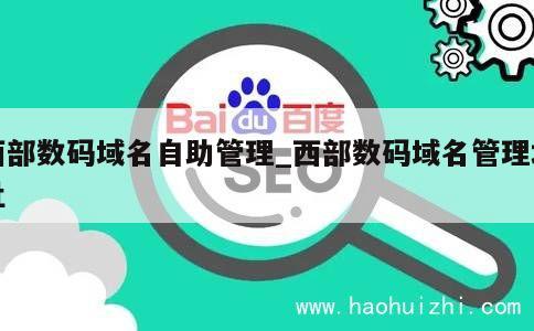 西部数码域名自助管理_西部数码域名管理地址 第1张