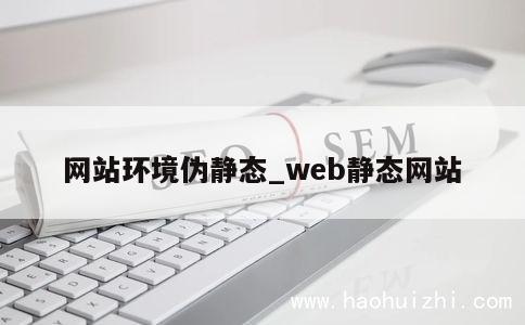 网站环境伪静态_web静态网站 第1张