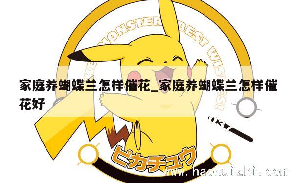 家庭养蝴蝶兰怎样催花_家庭养蝴蝶兰怎样催花好 第1张