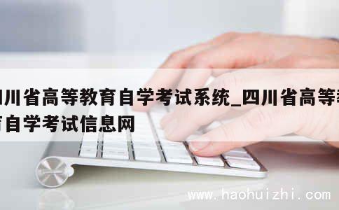 四川省高等教育自学考试系统_四川省高等教育自学考试信息网 第1张