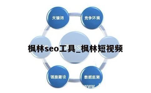 枫林seo工具_枫林短视频