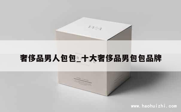 奢侈品男人包包_十大奢侈品男包包品牌 第1张