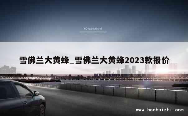 雪佛兰大黄蜂_雪佛兰大黄蜂2023款报价 第1张