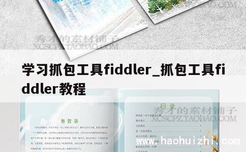 学习抓包工具fiddler_抓包工具fiddler教程