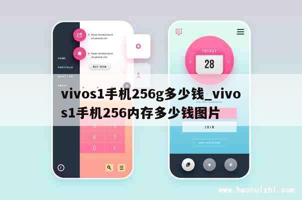 vivos1手机256g多少钱_vivos1手机256内存多少钱图片 第1张