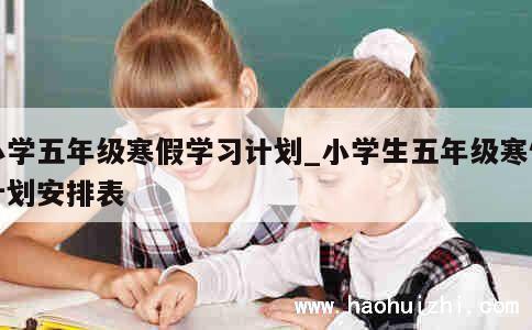 小学五年级寒假学习计划_小学生五年级寒假计划安排表 第1张