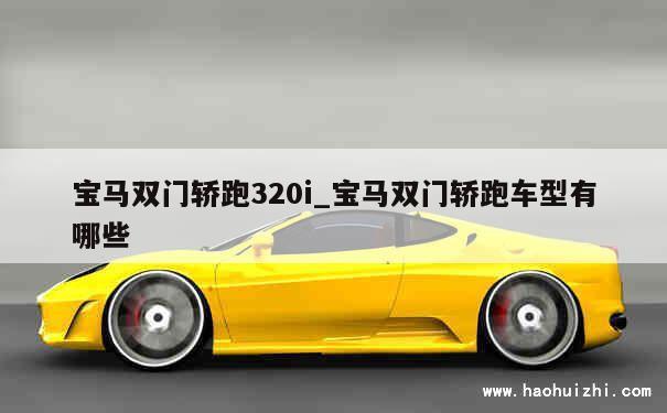 宝马双门轿跑320i_宝马双门轿跑车型有哪些 第1张