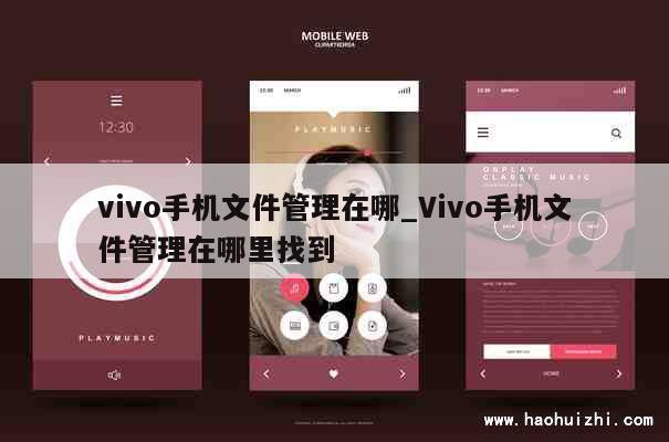 vivo手机文件管理在哪_Vivo手机文件管理在哪里找到 第1张