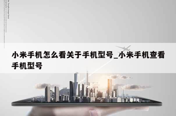 小米手机怎么看关于手机型号_小米手机查看手机型号 第1张