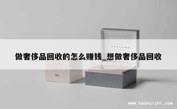 做奢侈品回收的怎么赚钱_想做奢侈品回收