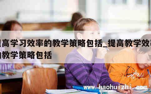 提高学习效率的教学策略包括_提高教学效率的教学策略包括