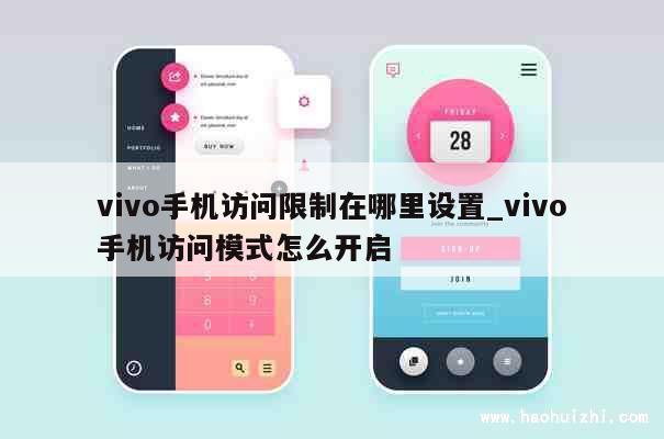 vivo手机访问限制在哪里设置_vivo手机访问模式怎么开启